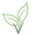 Verdant Home & Co logo